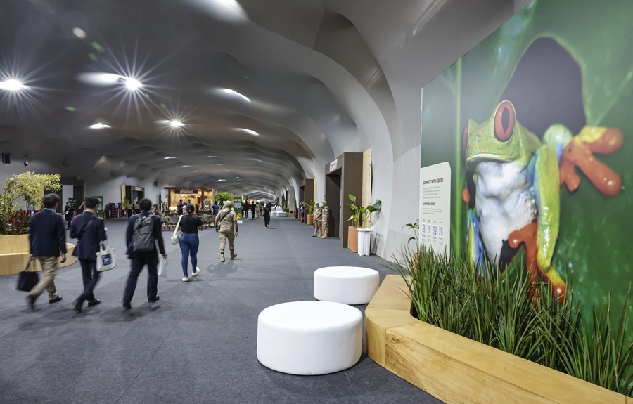 COP30: más acción, menos negociación y mayor financiamiento